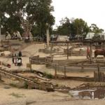 Ballarat - Sovereign Hill